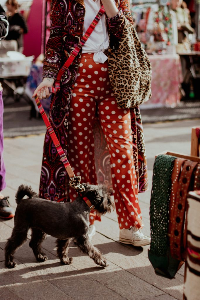 ellie-cooper-41hw9Va4JZY-unsplash